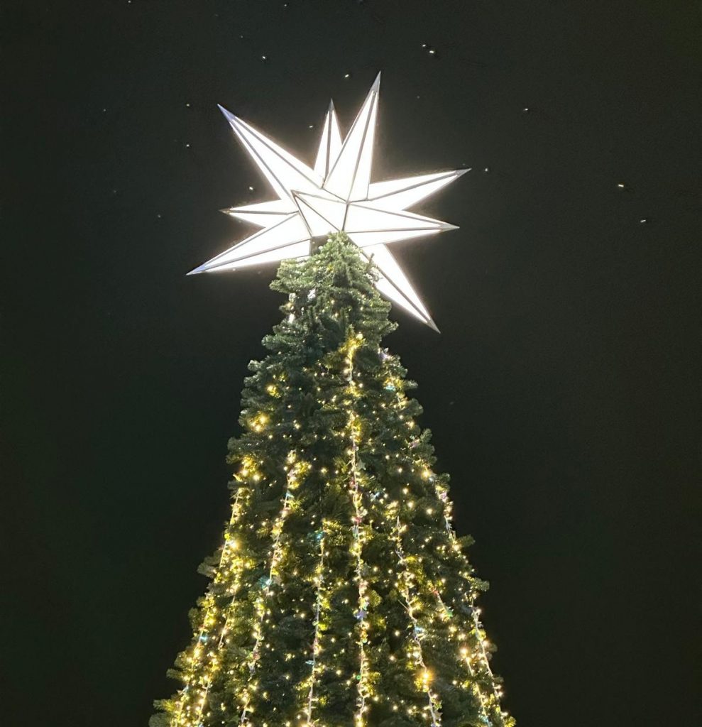 Primer plano de la estrella de Gaudí iluminando la parte superior del árbol navideño.